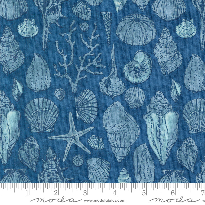 PREORDER - Serena Shores - Sketchy Shells in Coastal - Robin Pickens - 48774 14 - Half Yard