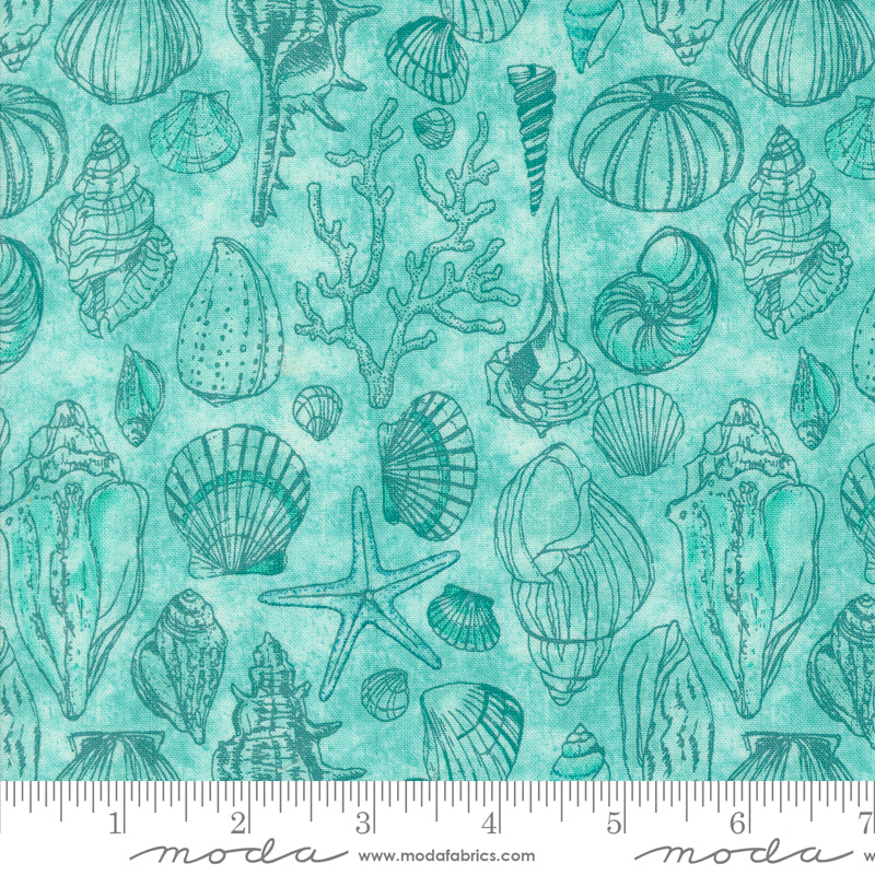 PREORDER - Serena Shores - Sketchy Shells in Aqua - Robin Pickens - 48774 21 - Half Yard