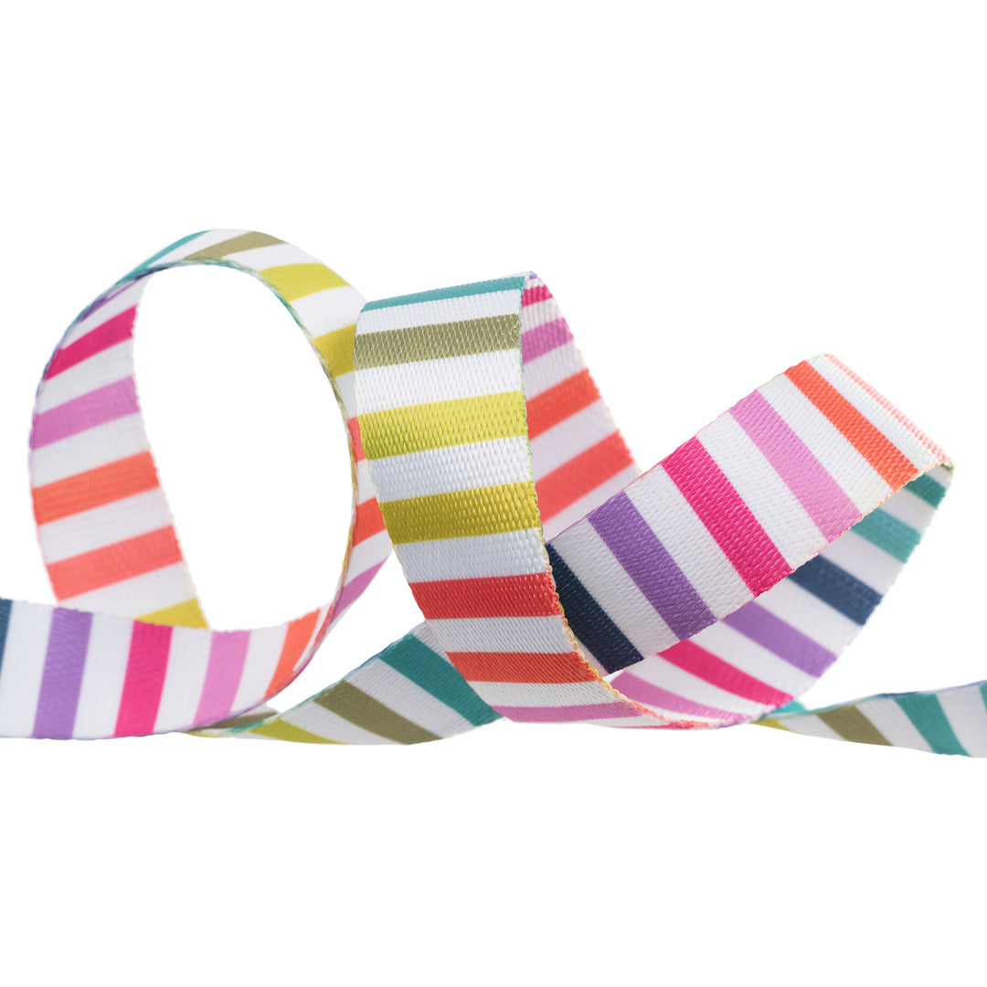 PREORDER - Renaissance Ribbons - Disco Stripe Webbing - 1" Width - Tula Pink Tabby Road Deja Vu - One Yard