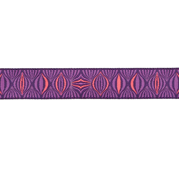 Light the Way in Nova - 7/8" width - Tula Pink Untamed - One Yard