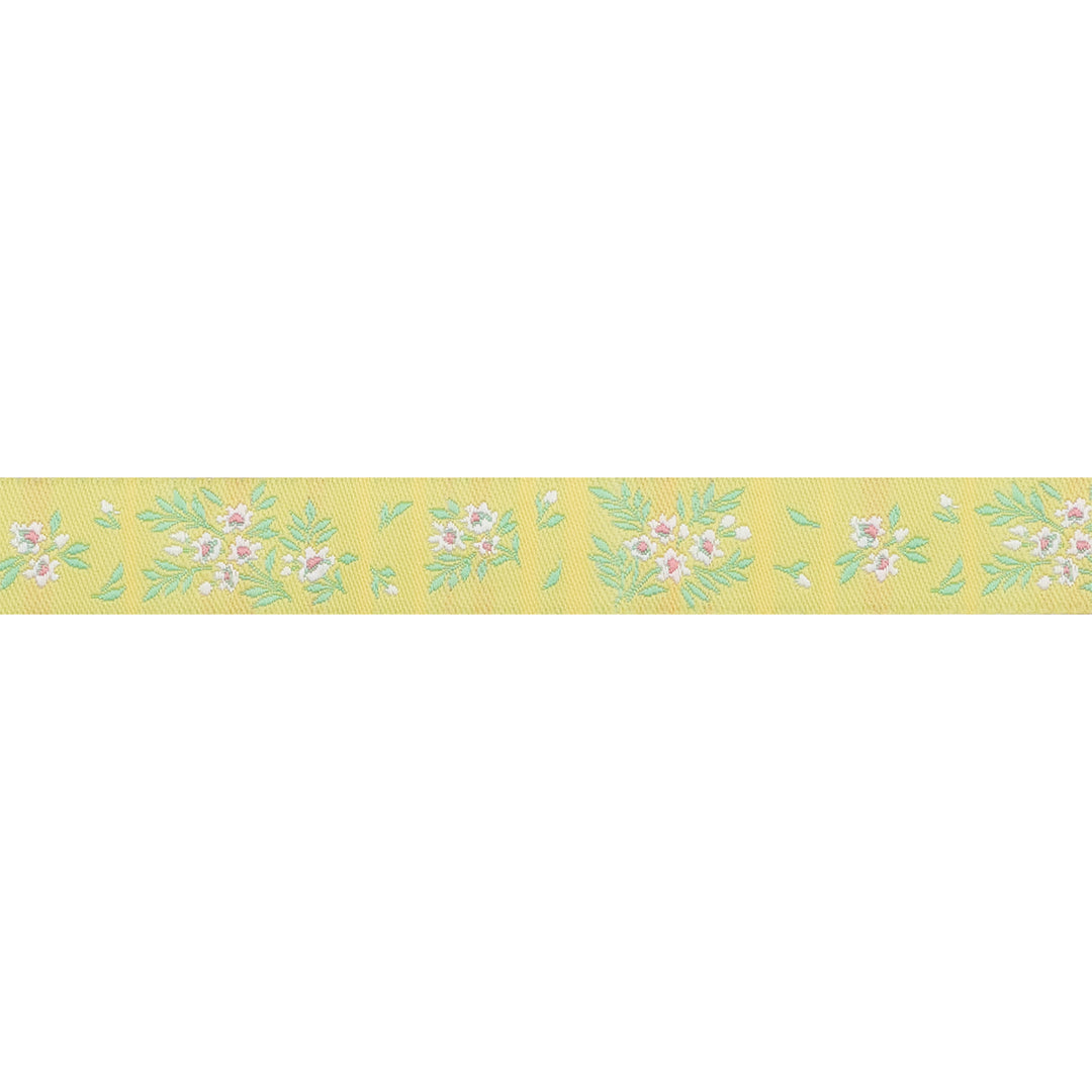 PREORDER - Renaissance Ribbons - True Colors 2025 - What a Ditz in Buttercup - 5/8" width - By Tula Pink - One Yard