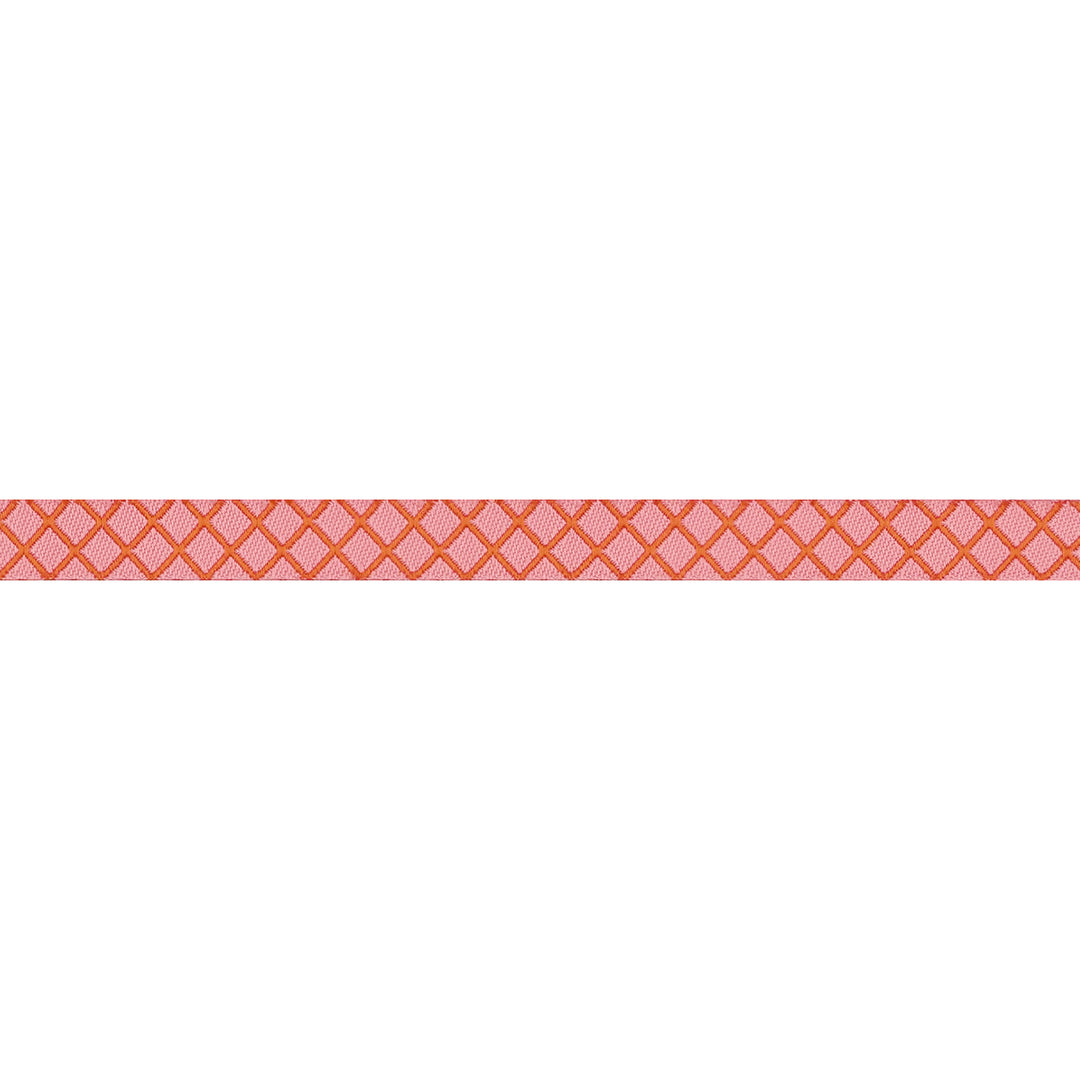 PREORDER - Renaissance Ribbons - True Colors 2025 - On the Grid in Salmon - 3/8" width - By Tula Pink - One Yard