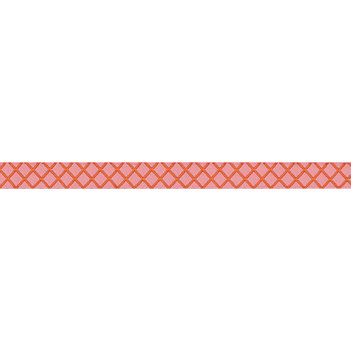 PREORDER - Renaissance Ribbons - True Colors 2025 - On the Grid in Salmon - 3/8" width - By Tula Pink - One Yard