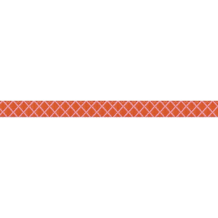 PREORDER - Renaissance Ribbons - True Colors 2025 - On the Grid in Salmon - 3/8" width - By Tula Pink - One Yard