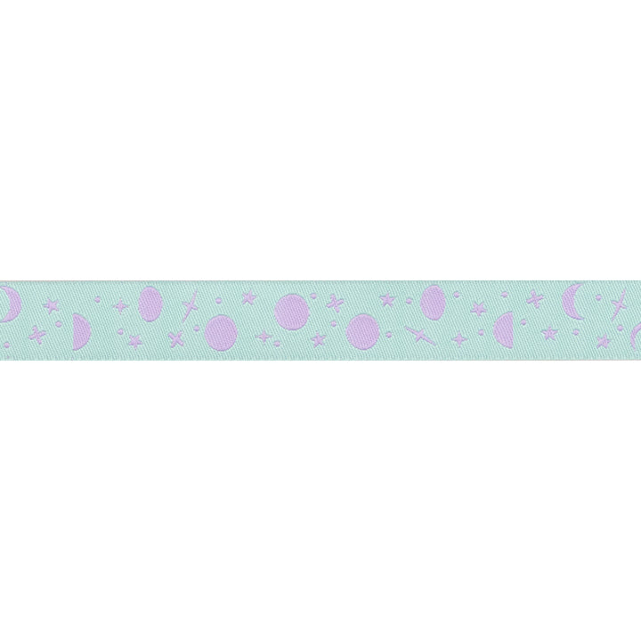 PREORDER - Renaissance Ribbons - True Colors 2025 - Space Sprinkles in Frozen Berry - 5/8" width - By Tula Pink - One Yard