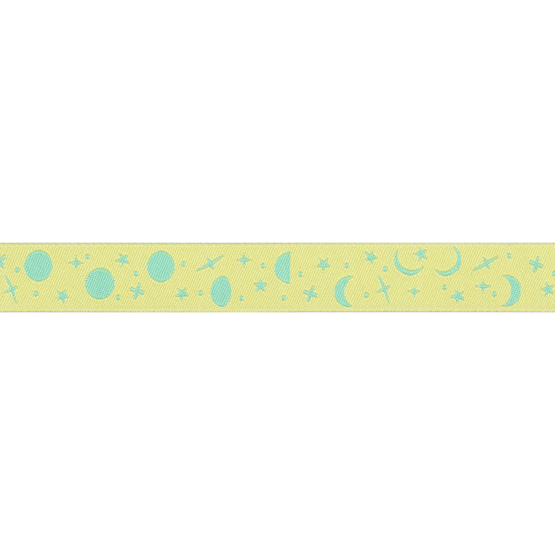 PREORDER - Renaissance Ribbons - True Colors 2025 - Space Sprinkles in Sea Glass - 5/8" width - By Tula Pink - One Yard