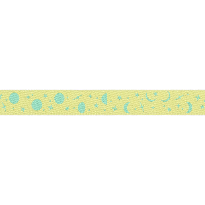 PREORDER - Renaissance Ribbons - True Colors 2025 - Space Sprinkles in Sea Glass - 5/8" width - By Tula Pink - One Yard