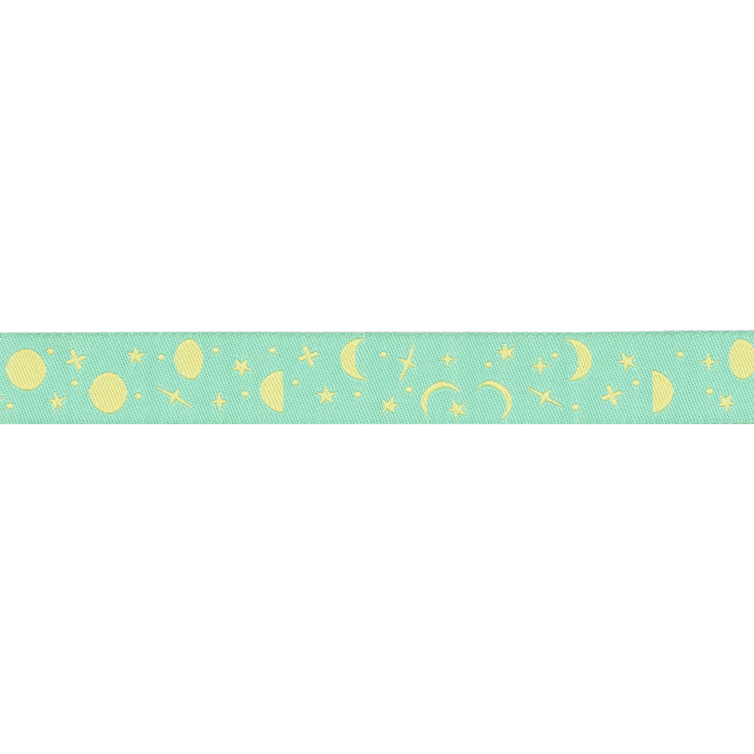 PREORDER - Renaissance Ribbons - True Colors 2025 - Space Sprinkles in Sea Glass - 5/8" width - By Tula Pink - One Yard