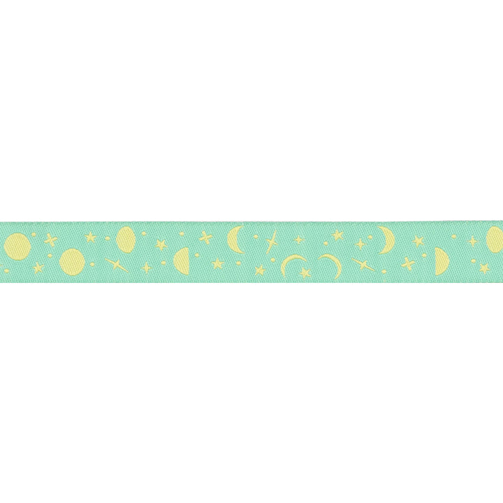 PREORDER - Renaissance Ribbons - True Colors 2025 - Space Sprinkles in Sea Glass - 5/8" width - By Tula Pink - One Yard